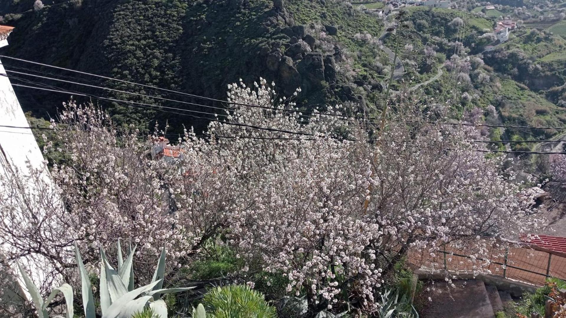 El Rincon Del Nublo Guest House เตเฮดา ภายนอก รูปภาพ